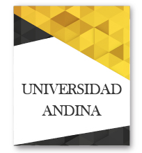 UNIVERSIDAD ANDINA